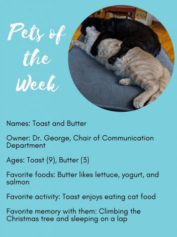 Pet of the Week #6: Toast and Butter