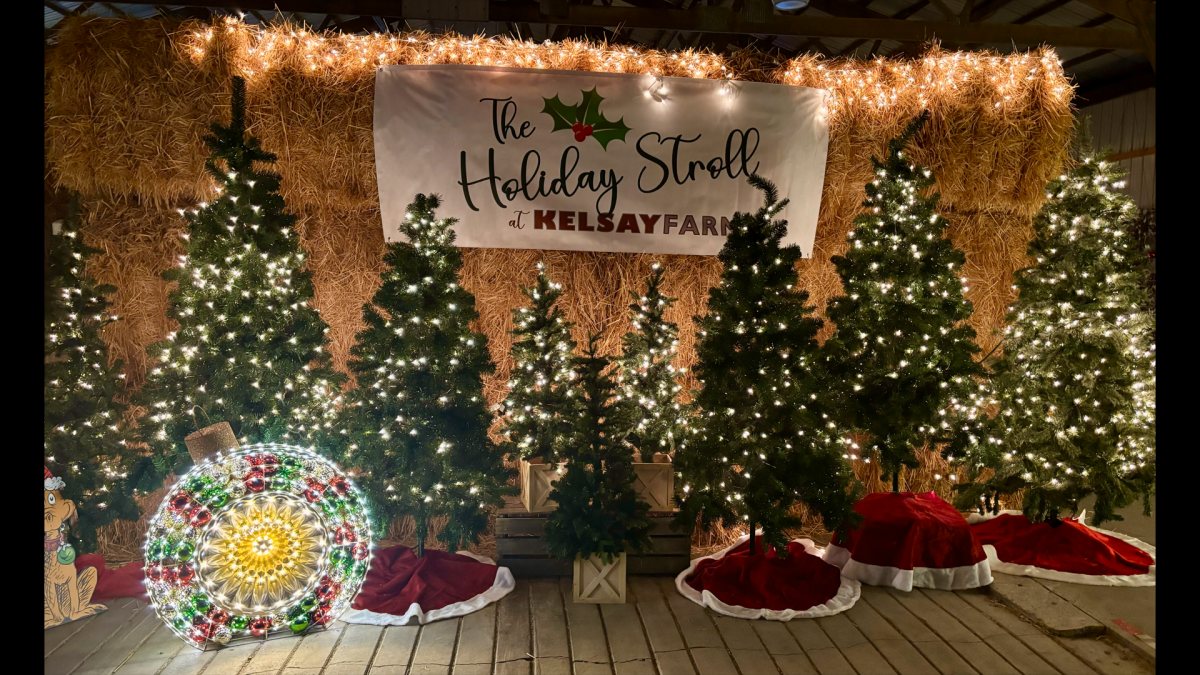 Christmas tree display at Kelsay Farms in Whiteland, Indiana.
