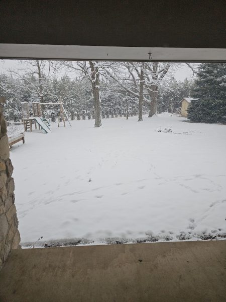 Snowfall in Indiana.